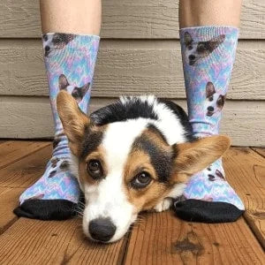 Medias Personalizadas Perros