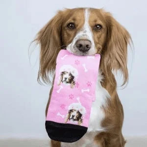 Medias Personalizadas Perros